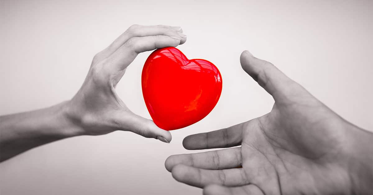 organ donor heart