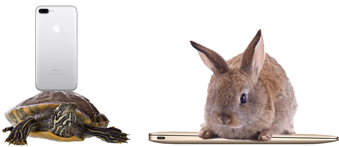 The Tortoise vs. the Hare