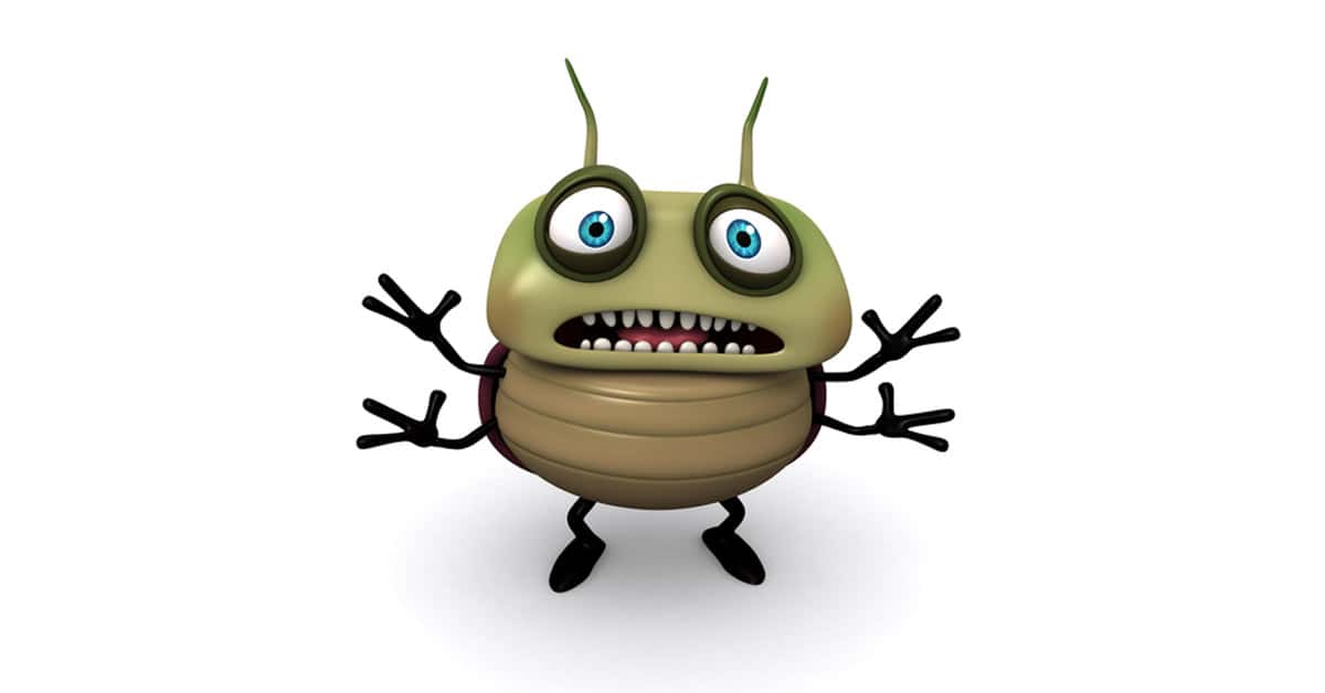 A bug