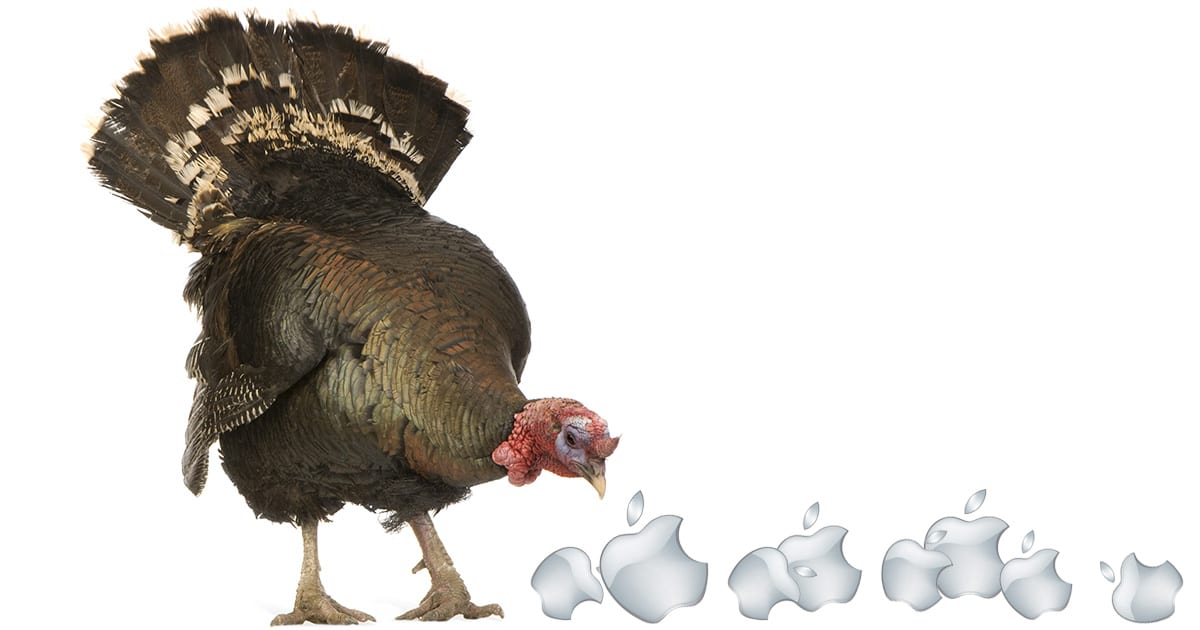 Turkey enjoying Thanksgiving with The Mac Observer