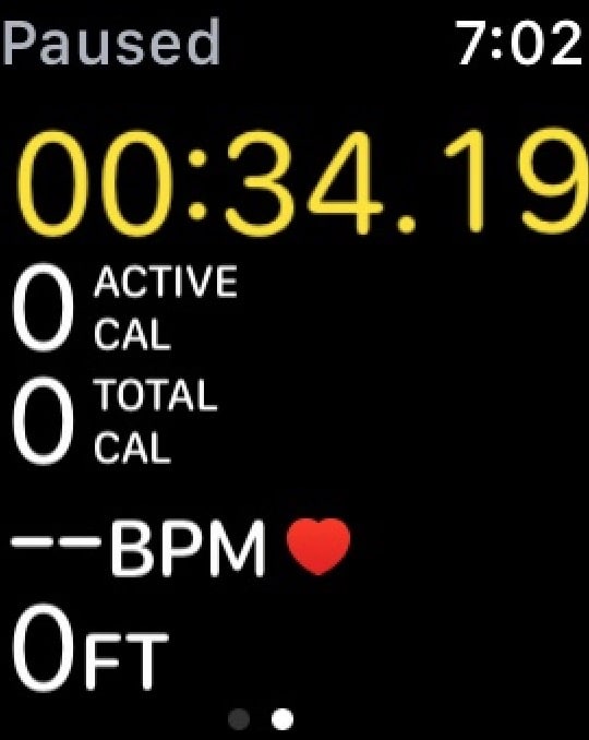 Apple Watch Workout app showing multiple metrics