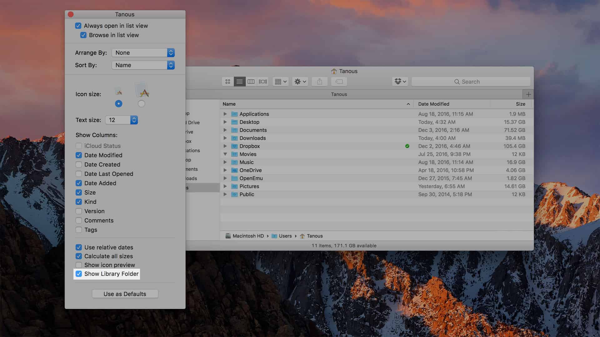 how to see library folder on mac