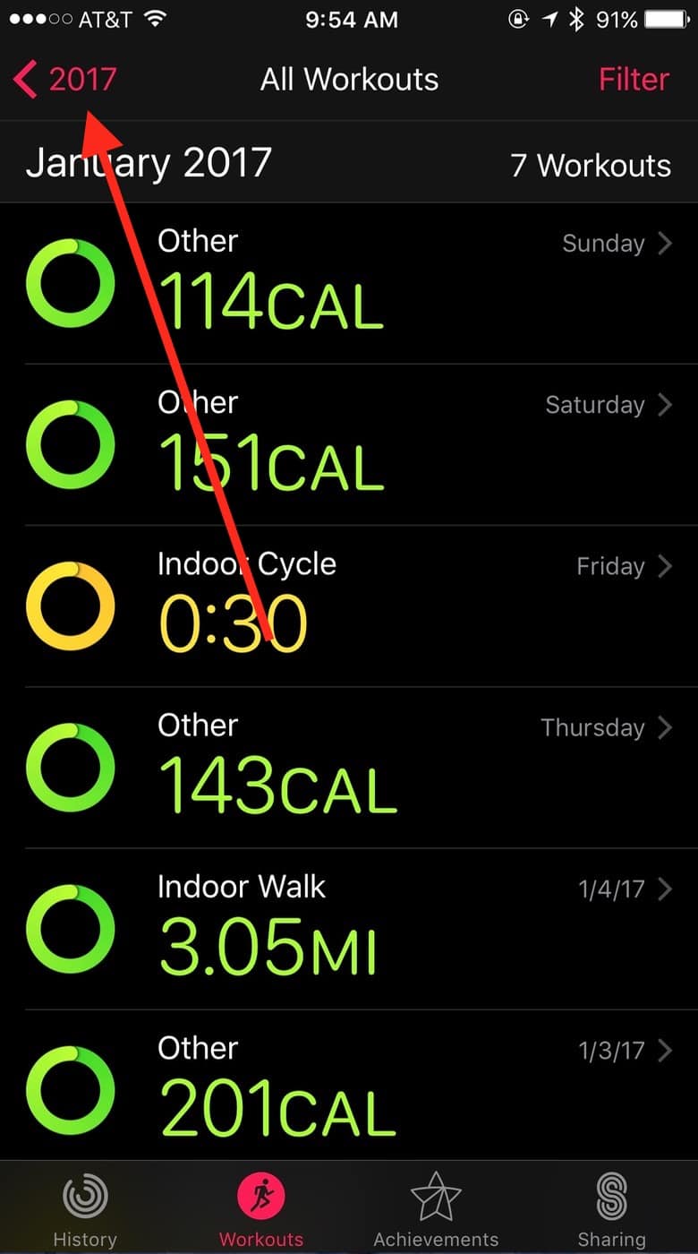 Year Button in iOS Activity app Workouts view