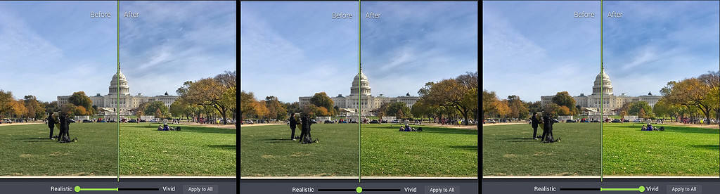 Photolemur’s only slider control set to 100% Realistic (left), Default (middle) and 100% Vivid (right). 