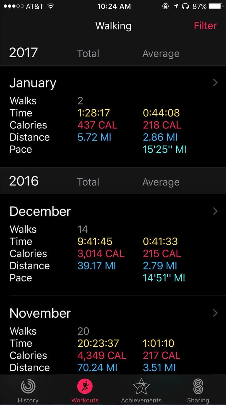 iOS Activity app Walking details by month