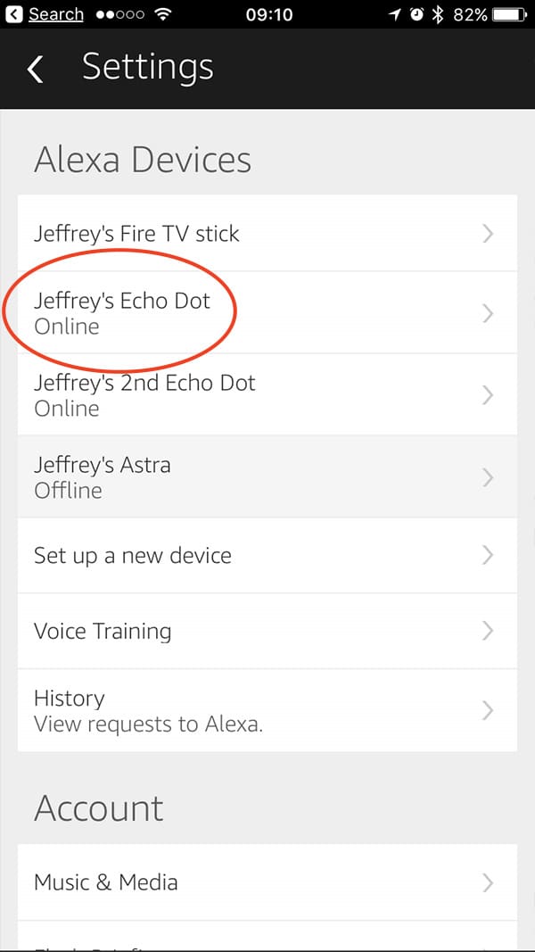 Alexa device list in the iPhone app showing Echo Dot and Fire TV stick