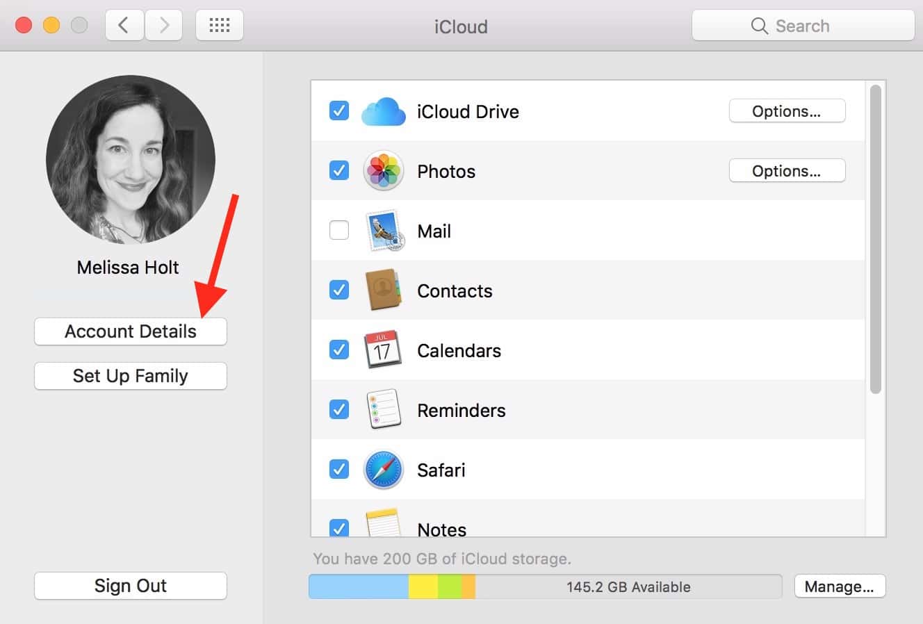 iCloud device Account Details on the Mac