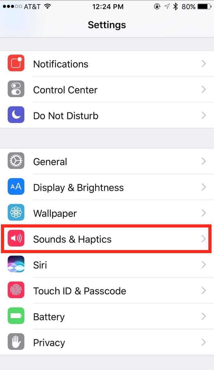 iPhone Sounds & Haptics settngs