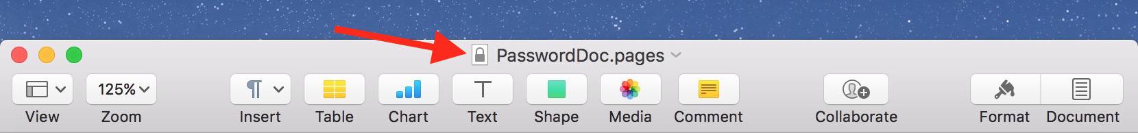 Title Bar showing Pages document is password protected
