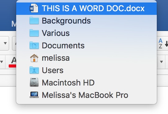 Showing a Word document's path from the document Title Bar only works with Control-click or right-click