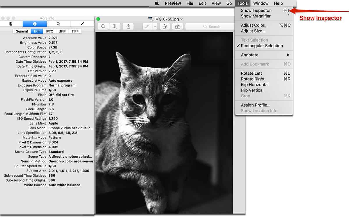 how to read full exif data mac