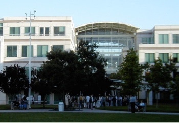 Apple employees at Infinite Loop on the courtyard side.