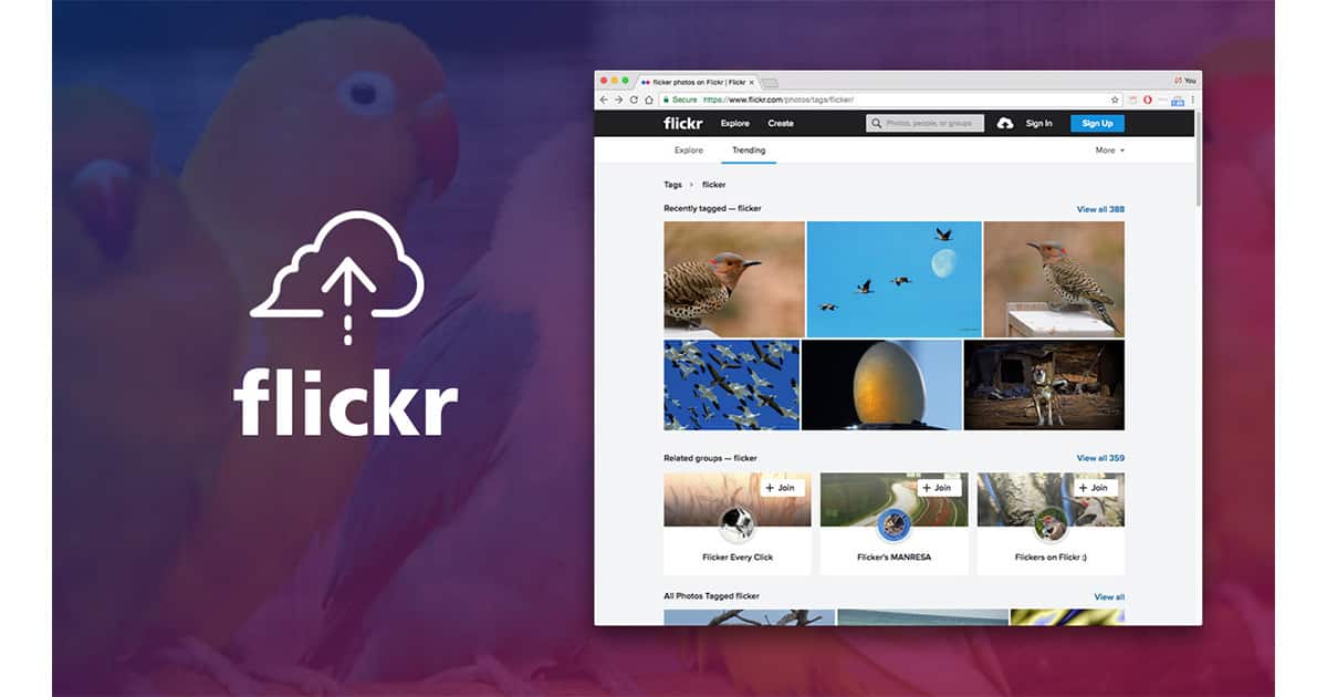 Here’s How to Download Your Important Photos from Flickr