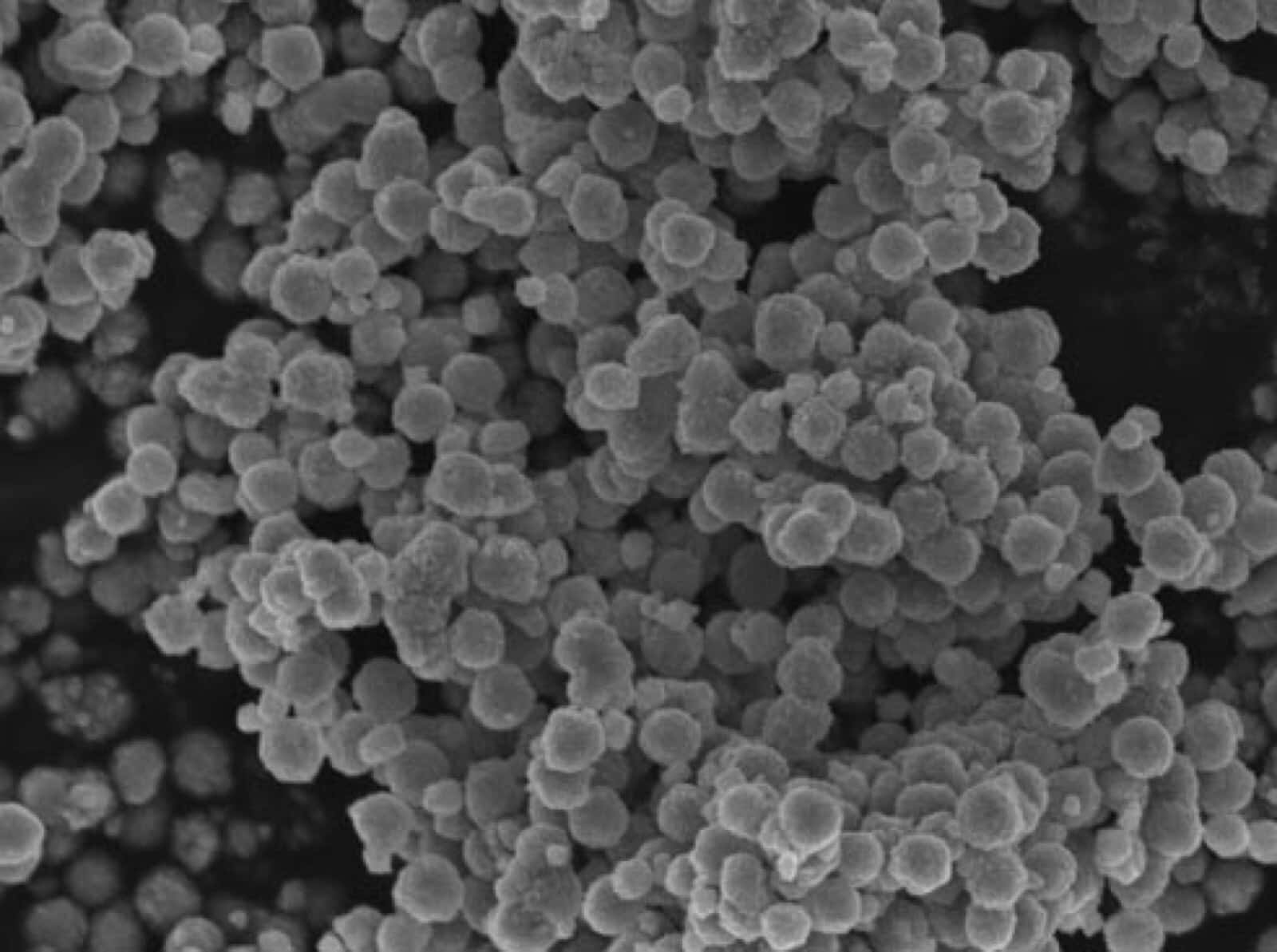 titanium dioxide nanoparticles