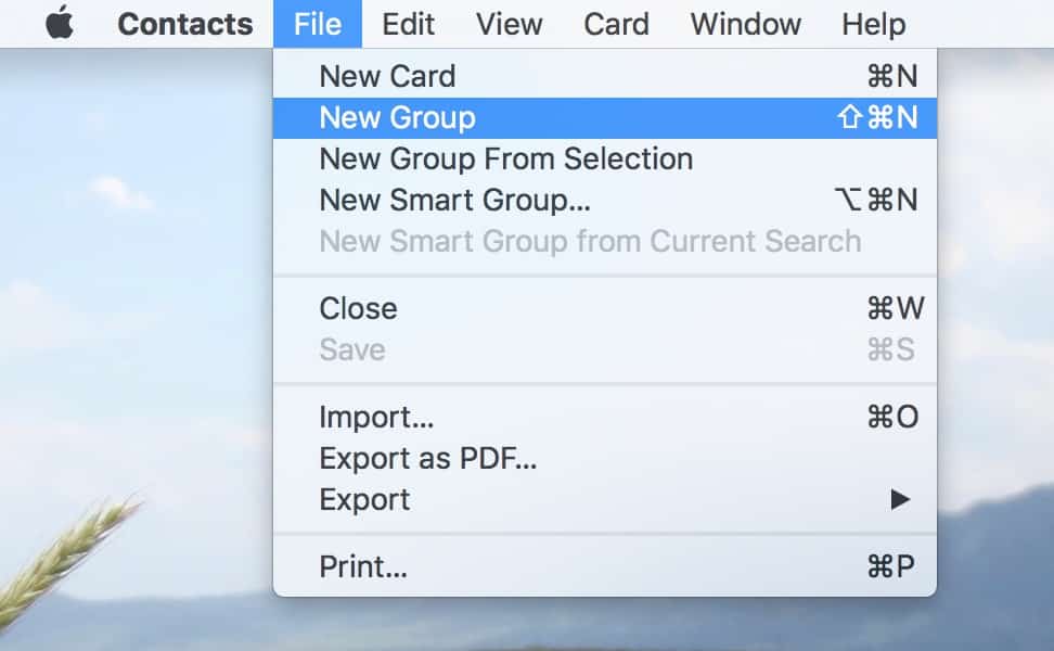 Choose File > New Group in Contacts to make a group for the contacts you want to archive