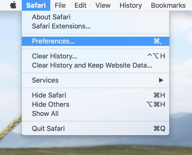 You can see which Safari extensions are installed by choosing Preferences from the Safari menu