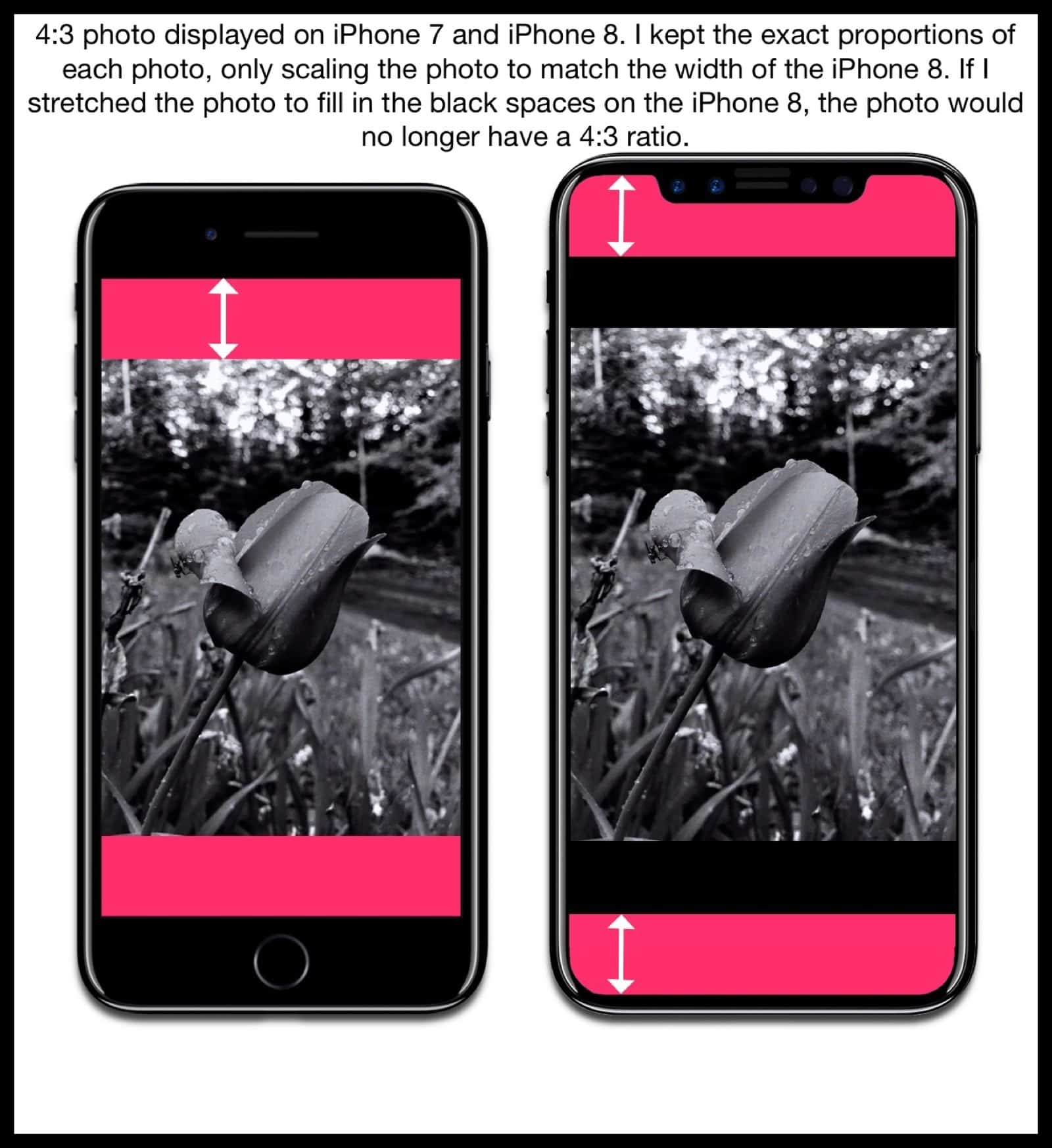 Image comparing how the iPhone 7 and iPhone 8 mockup displays photos with a 4:3 aspect ratio. 