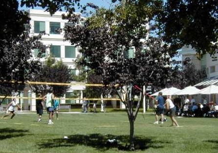 Apple Infinite Loop. Volleyball at lunch.