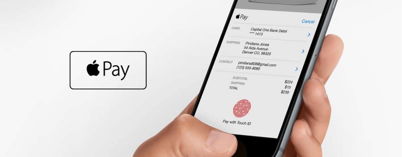 Popular Punchh Restaurant Loyalty Program Comes to Apple Pay