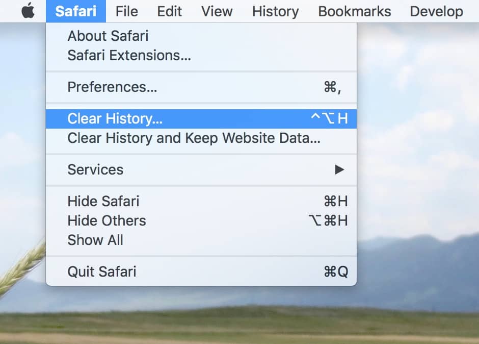 Clear History in Safari clears out all the sites you visited