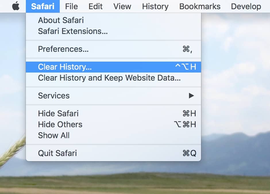 clean history safari mac