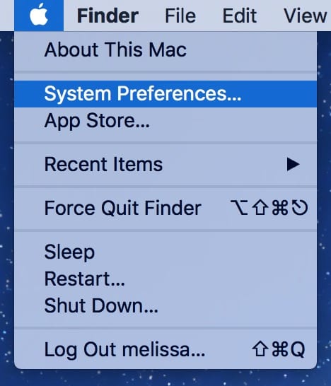 Apple Menu's System Preferences gets you to the Adobe Flash settings and updater