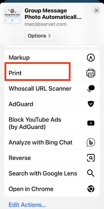 Clicking the Print Action on Share Options