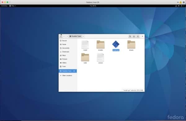 Fedora as a guest OS, virtual machine in macOS.