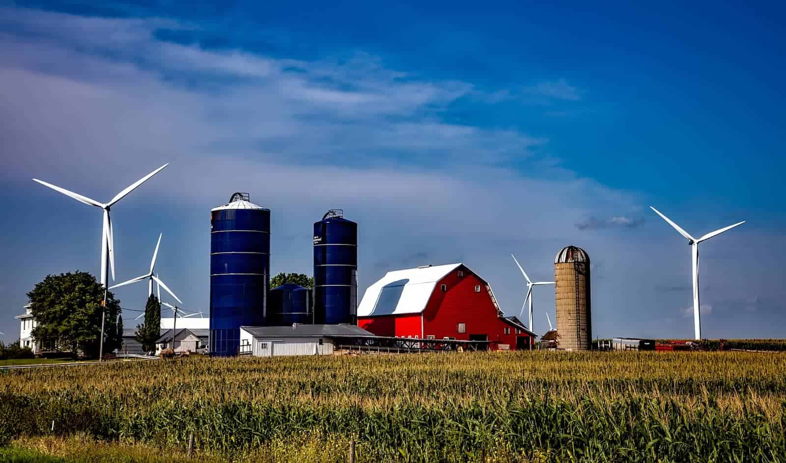 Image of a farm in Iowa. Maybe a new Apple data center could be next door?