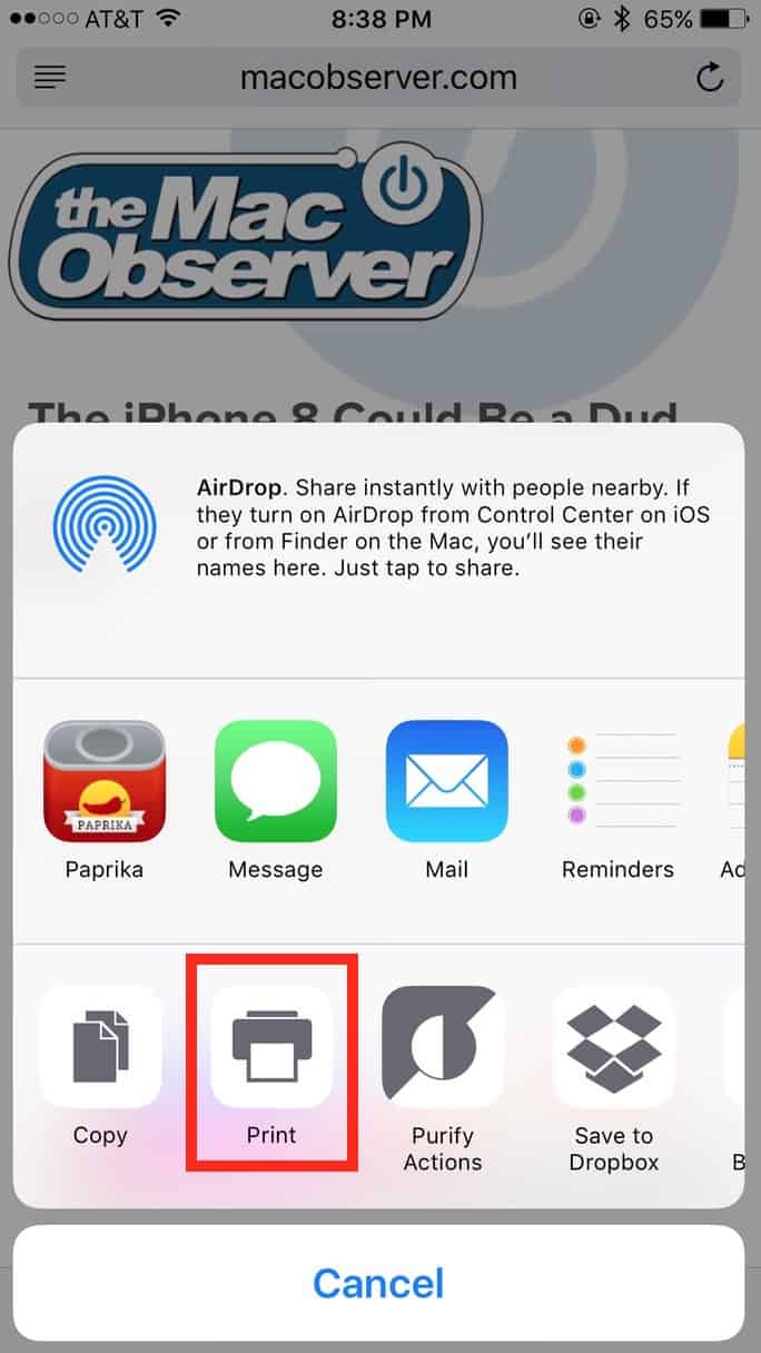 The Print Icon in the iOS Sharing pane is the first step in creating a PDF on your iPhone or iPad