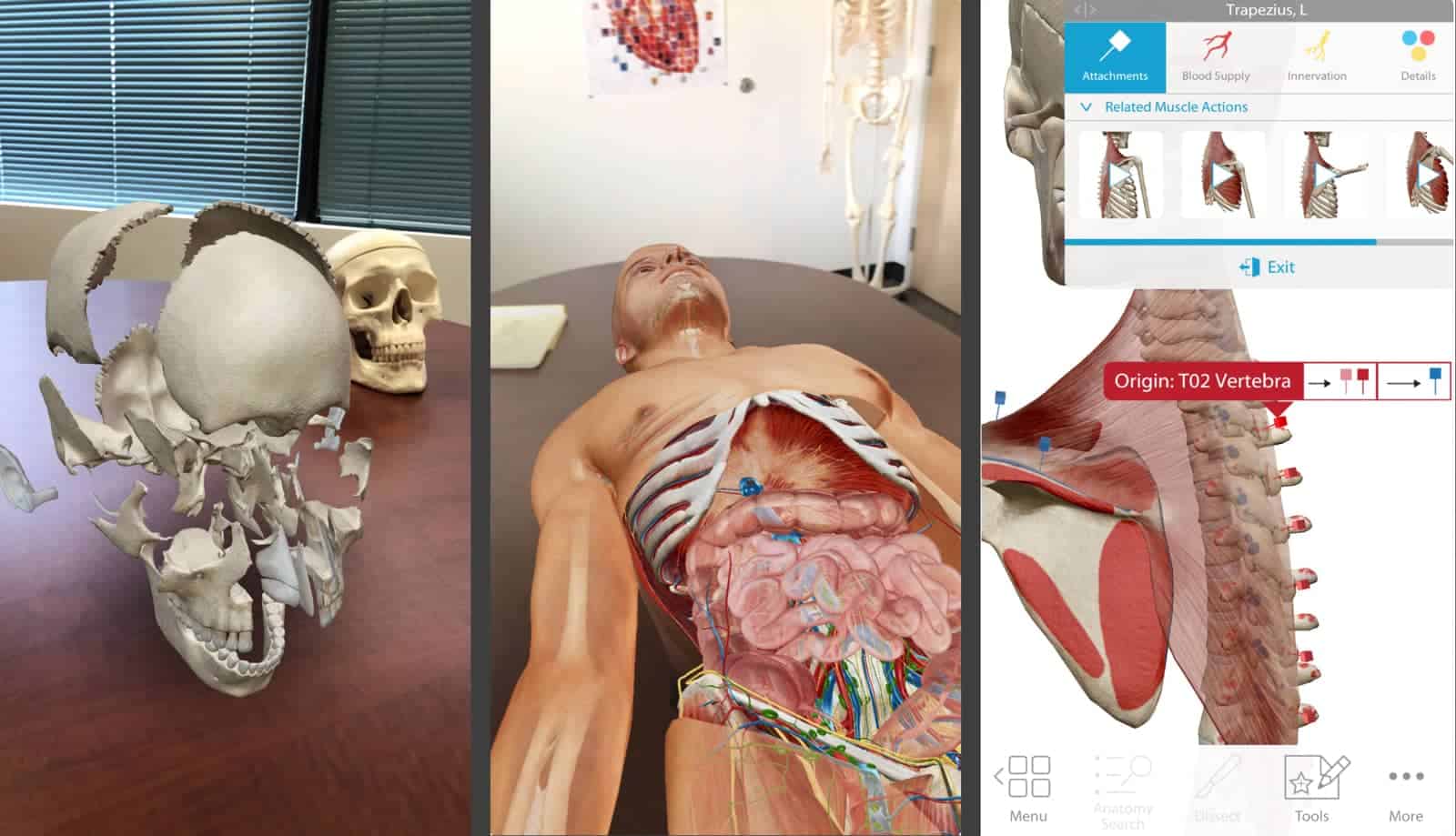Human Anatomy Atlas, one of the new AR apps and games.