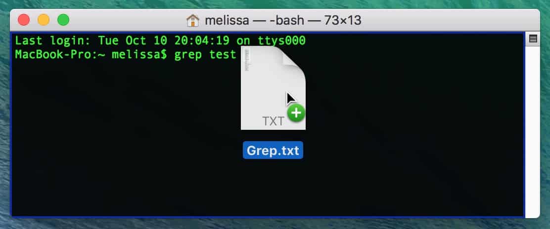 Dragging File onto Terminal in macOS to add its path to a grep command
