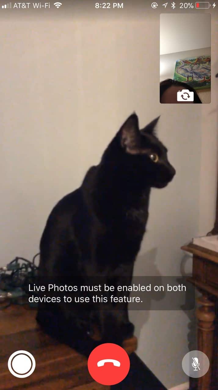 FaceTime Live Photos Warning saying the feature is disabled