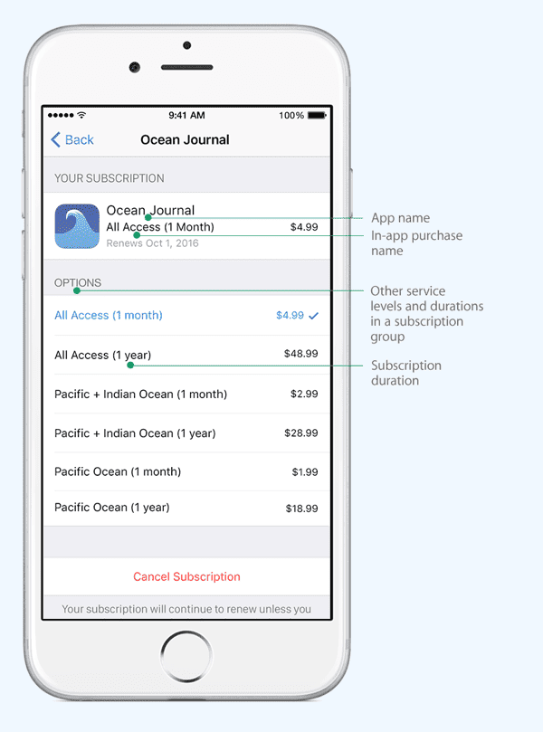 Image of app subscription discounts settings in App Store iOS 11.2.