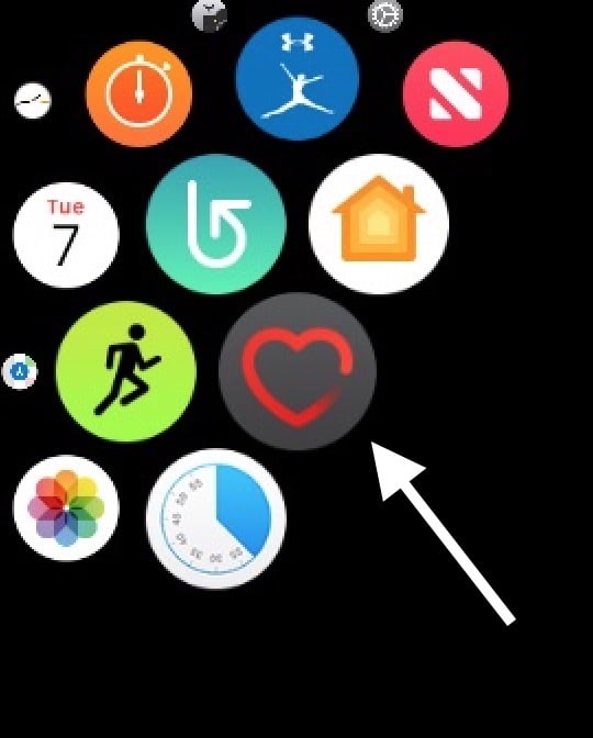 Heart App icon on Apple Watch