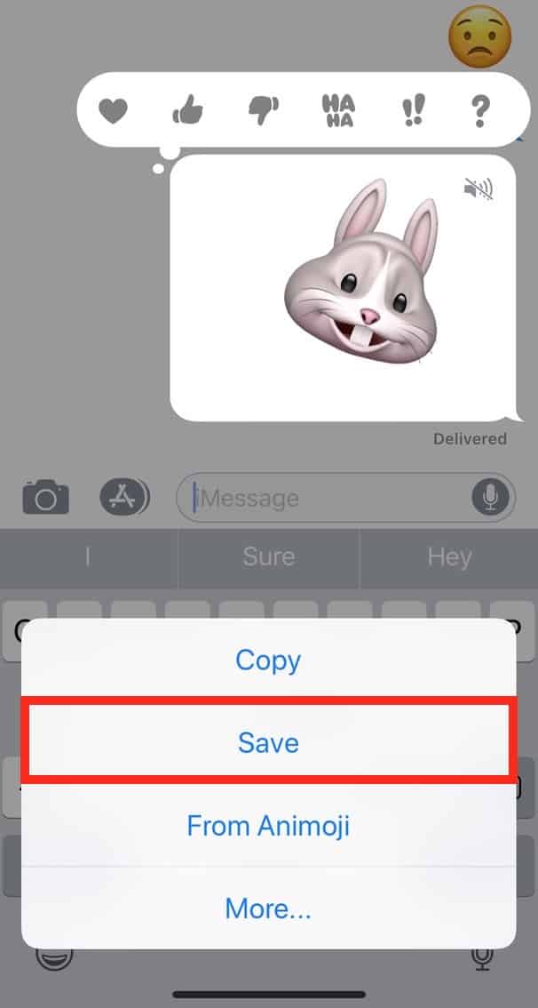 You can Save Animoji to your Camera Roll