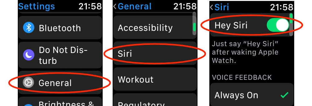 Hey Siri settings on Apple Watch Series 3