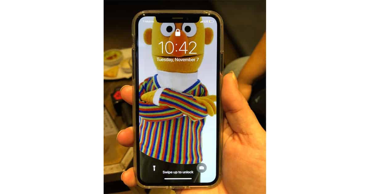 Ernie and the iPhone X Notch