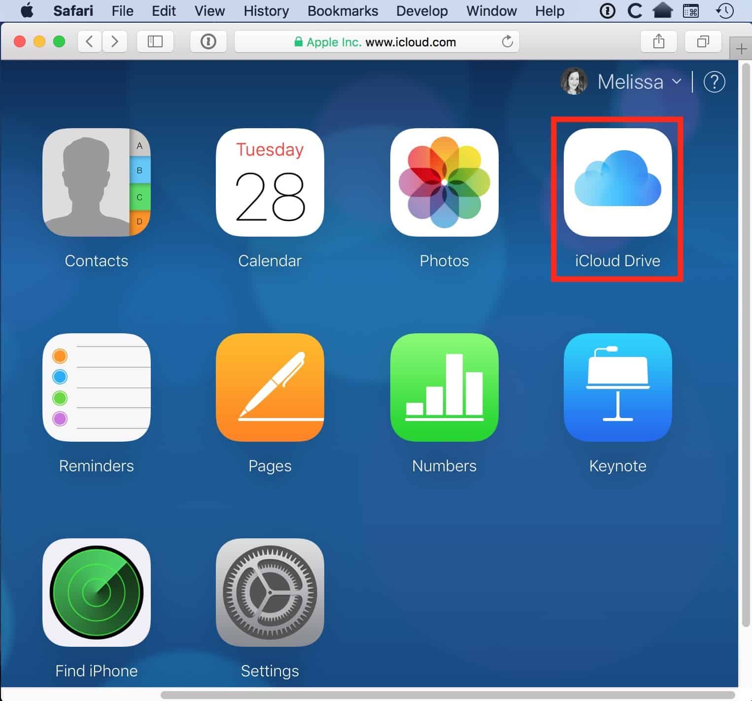 iCloud Drive Button in Web browser