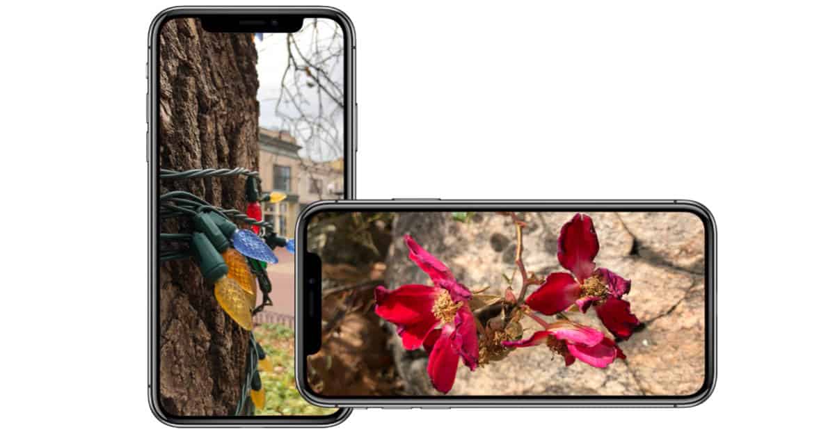 iPhone X review: Apple finally knocks it out of the park, iPhone X