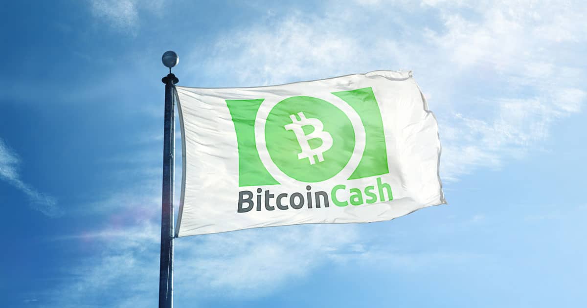 Bitcoin Cash on a flag