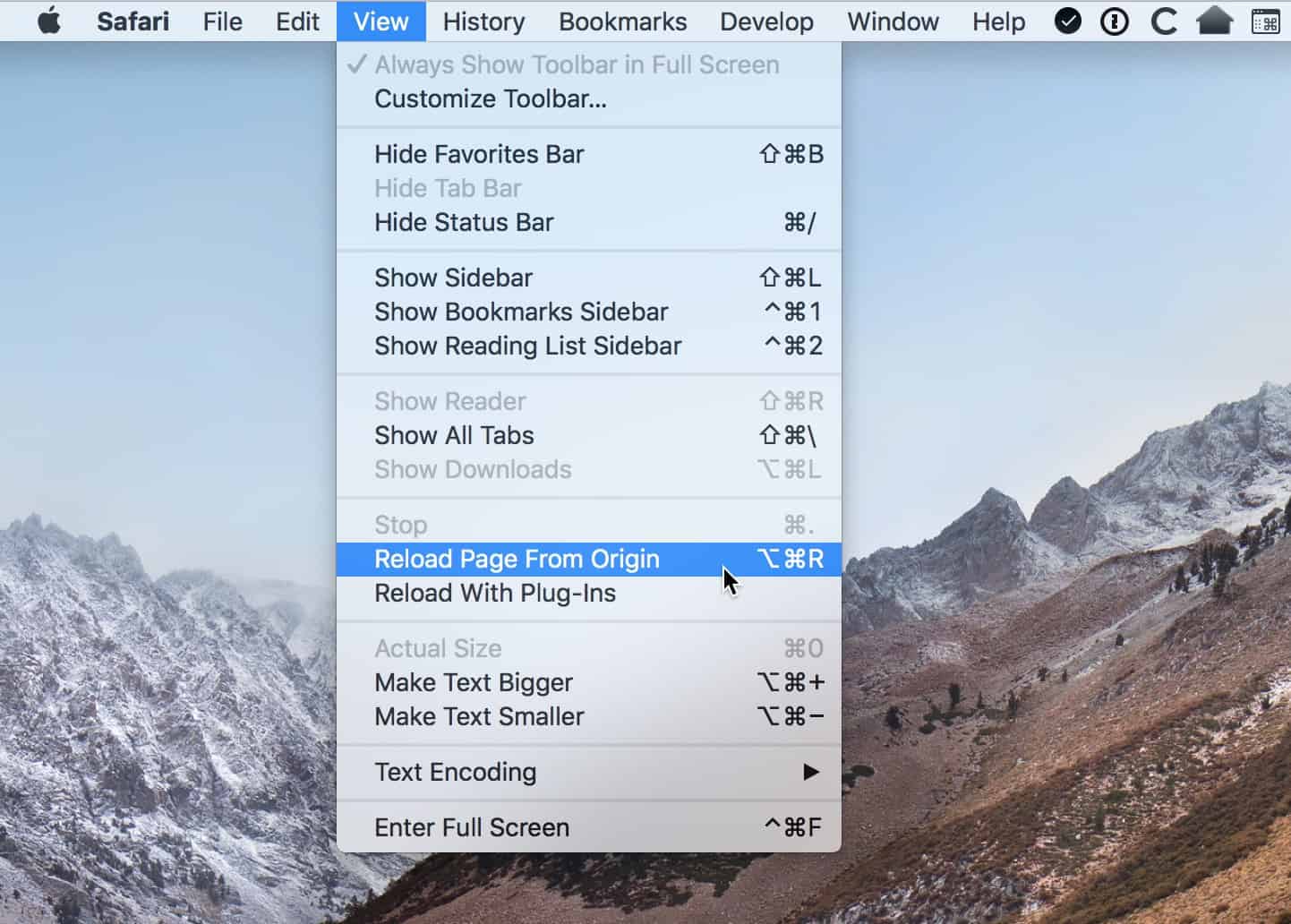 macOS Safari View Menu showing Reload Page From Origin option