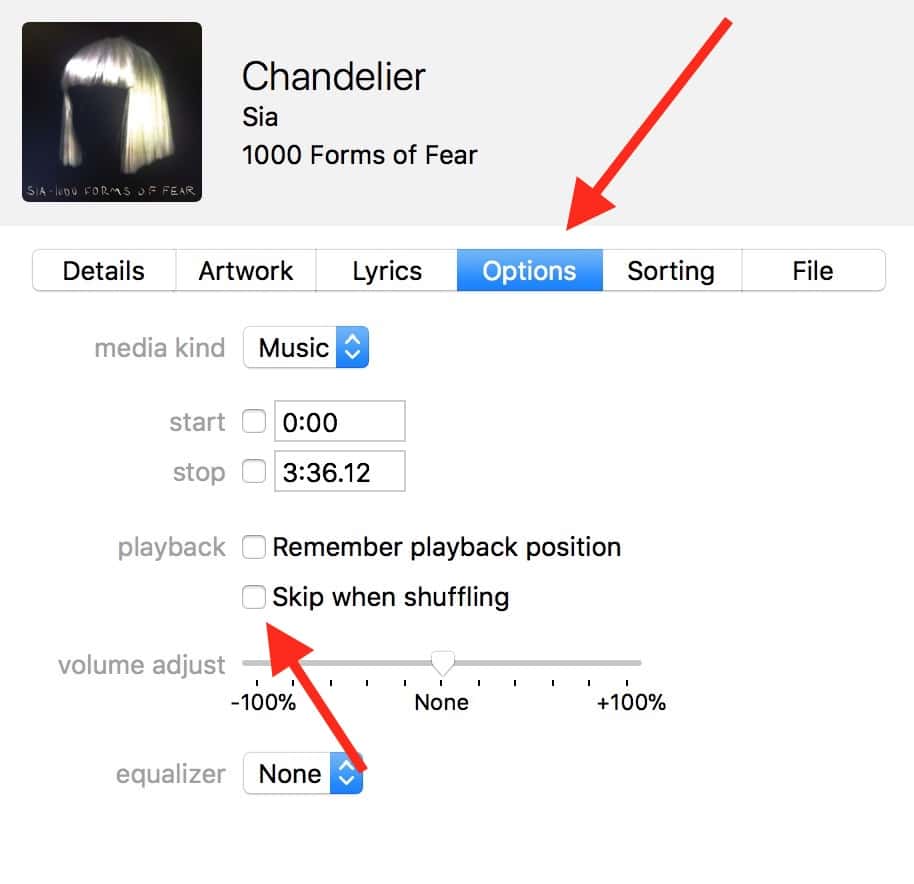Options Tab of Info Window for songs in iTunes showing Skip when shuffling option