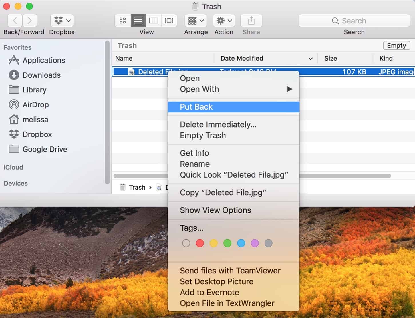 Put Back Option in macOS Trash