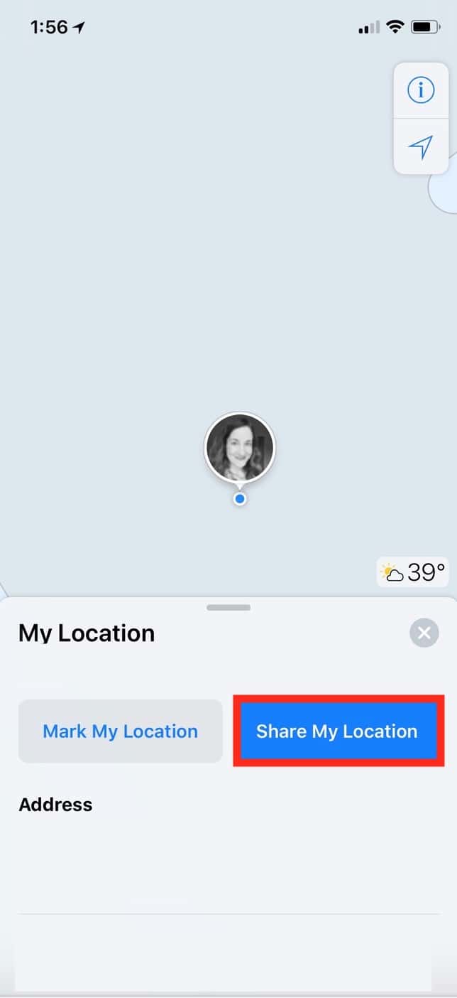"Share My Location" from Maps on the iPhone