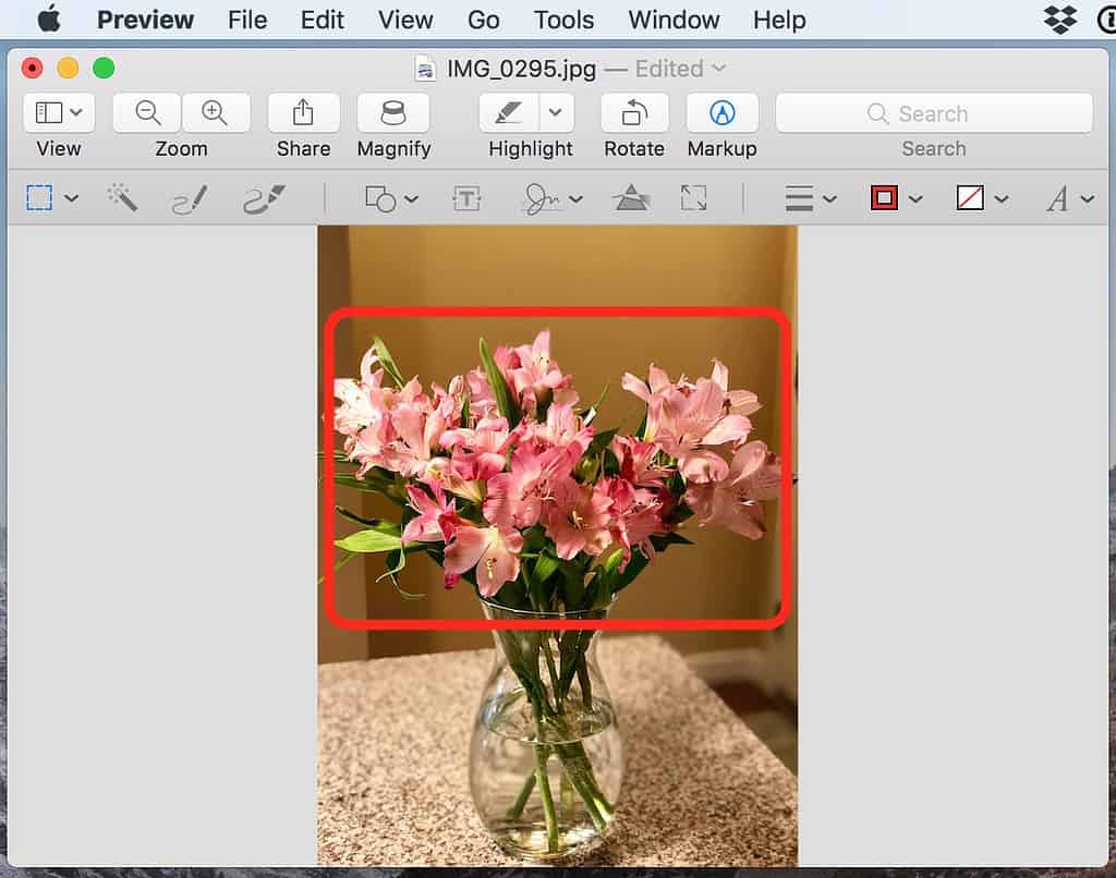 Photos: Editing Your Images with an External Program