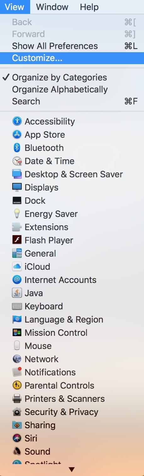 Choose "Customize" Option Under View Menu in System Preferences to control which settings are visible
