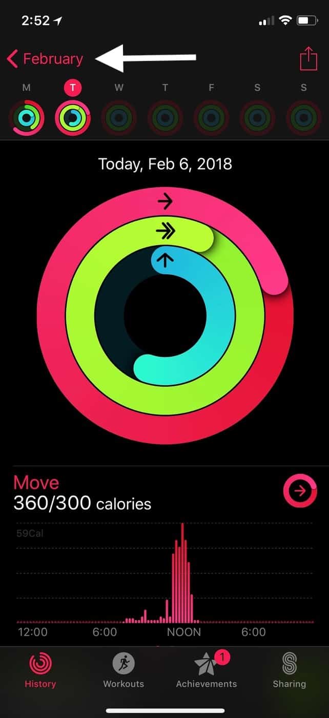 Activity Day View in iPhone Activity app