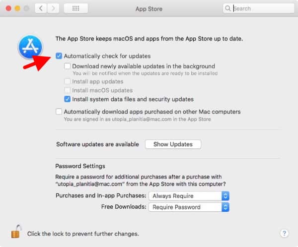 Mac App Store Preferences.