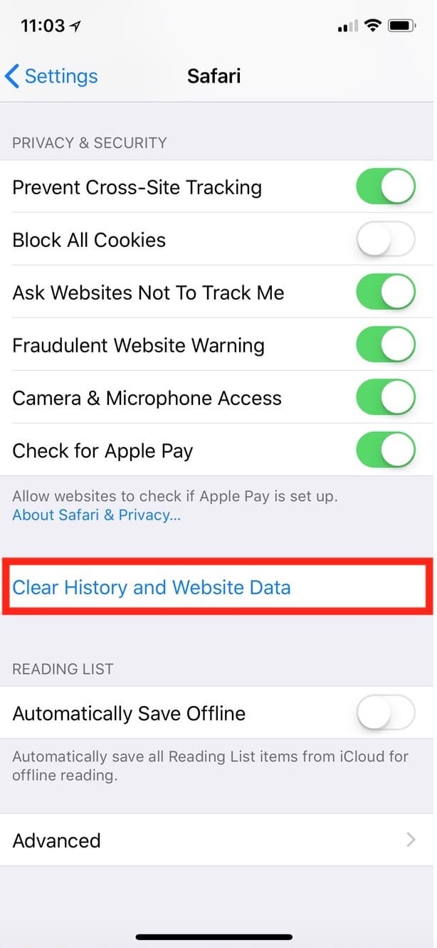 Clear Safari History and Website data option in Safari on iPhone